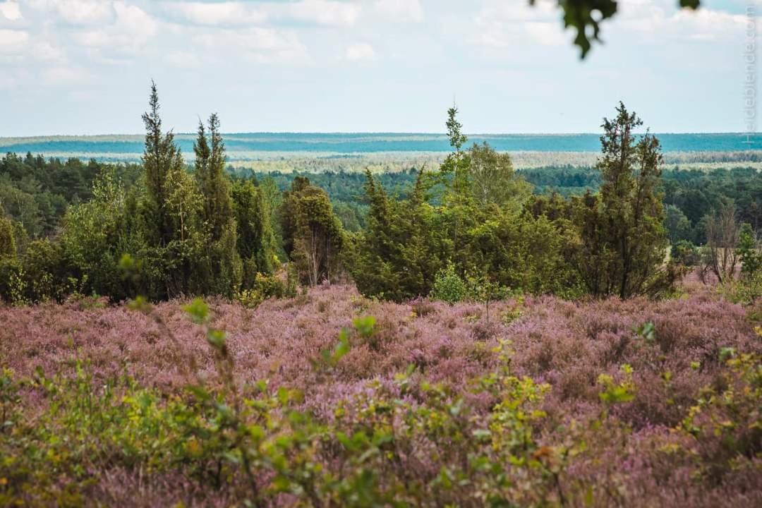 Ferienwohnung Ram Hermannsburg Exteriér fotografie